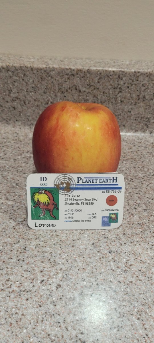 Turner14Devan's tweet photo. GMOs are a very common thing in a lot of foods. This alters the foods mainly in a negative way since they are considered unhealthy and can affect the population. Apples are a food that commonly have GMOs. @franklinlorax #apespop https://t.co/c1ZyRXrE6U
