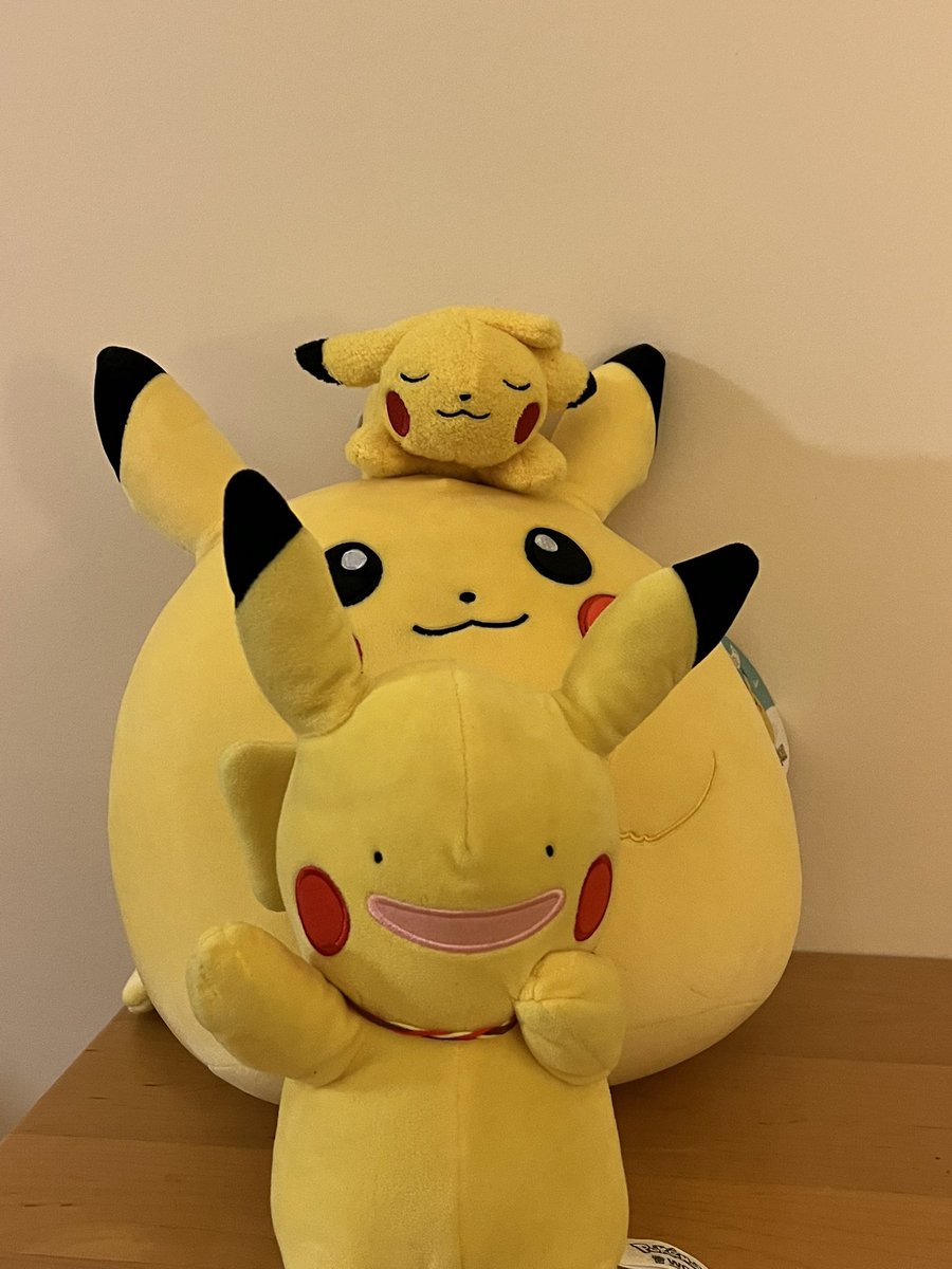 dittoaspikachu's tweet photo. My friends and I helped my Trainer out with studying!  She taught us so much!  #pikapika #dittoaspikachu #squishmallows https://t.co/PXhE3hNQbG
