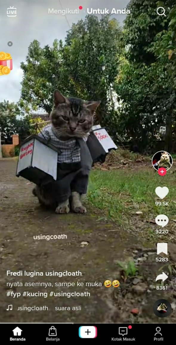 kochengfs's tweet image. 🐈‍⬛ ada yg udah liat ini? dia jualan rujak bebeg tapi jutek banget deh kaya ga niat jualan. sender drop videonya di reply