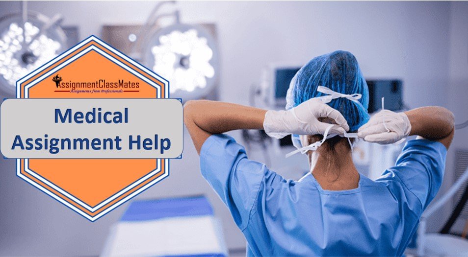 AssignmentMates's tweet image. Get your medical and nursing assignment started in no time! Our experienced team offers the best medical assignment writing services at reasonable prices.
Order Online: assignmentclassmates.com/medical-assign…
For More Information WhatsApp: +61730407305
#MedicalAssignmentHelp #MedicalHelp