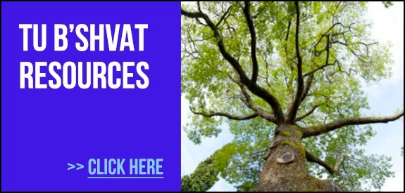 CHECK IT OUT: 

nleresources.com/kiruv-and-chin…

#15Shevat