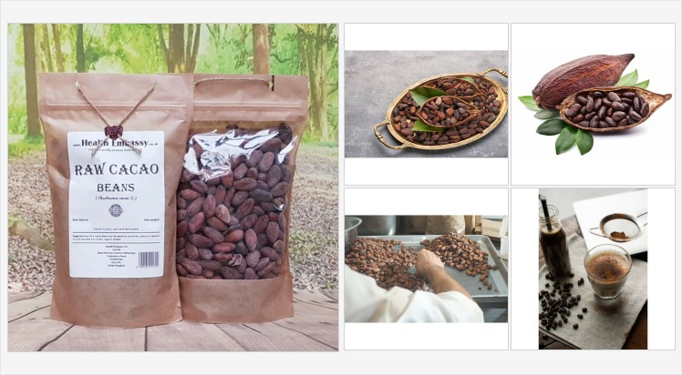 HealthEmbassy's tweet image. Raw Cacao Beans (Theobroma cacao L.) #rawcacaobeans #theobromacacao #cacaotree #cocoatree #herbaltea #vegetarian #remedies #homeopathy #naturalmedicine #organicherb #herbalism #witchcraft #spell #dietary #diet #treatment #organictea #infusion #herbaltea healthembassy.co.uk/en/seeds/184-r…