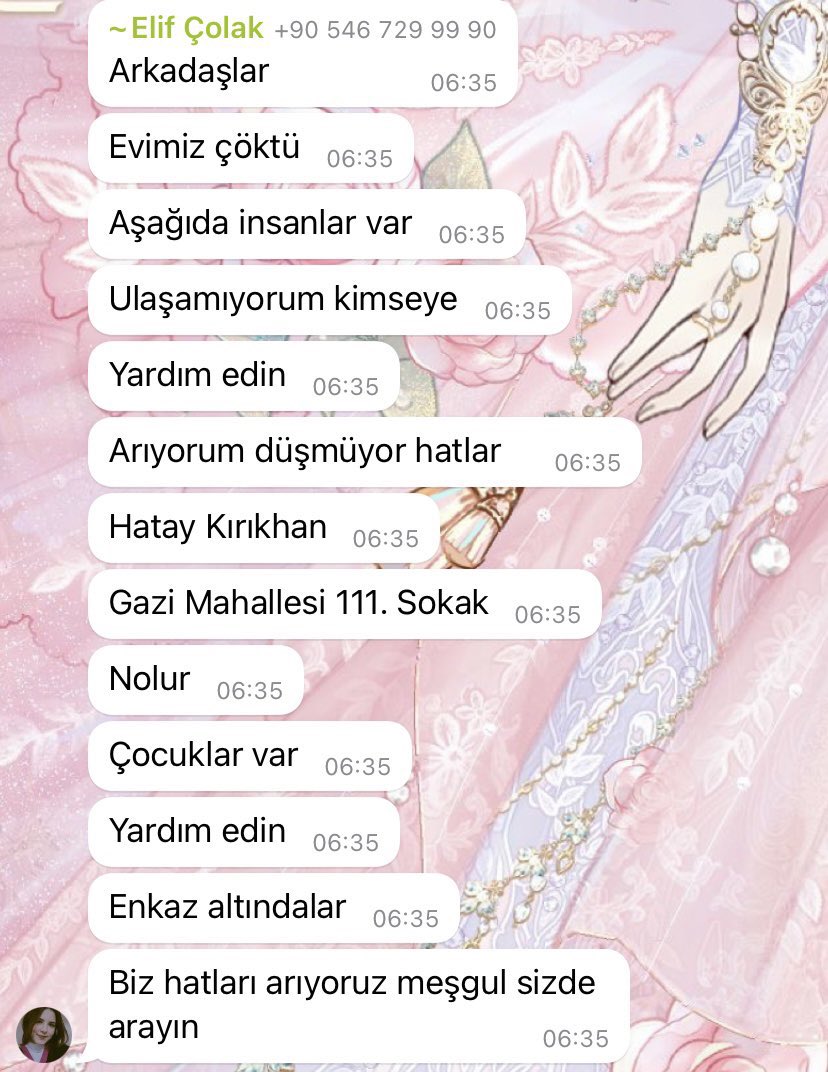 Wolvi (@wolviyim) on Twitter photo 