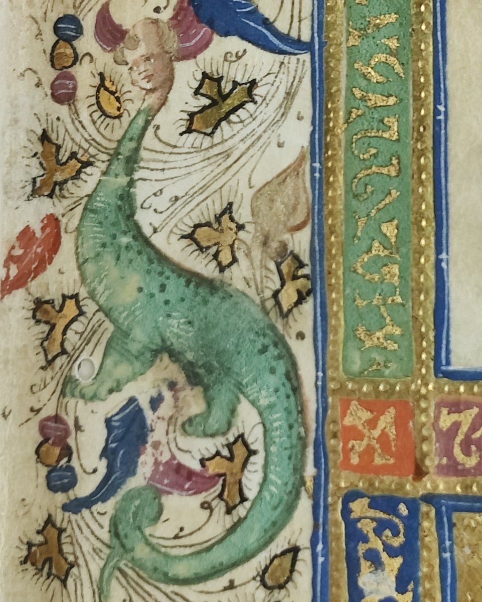 Woke Up Like This 

#mood #dragon #hybrid  #MedievalTwitter #ManuscriptMonday

#NewberryLibrary (Case MS 102.2)