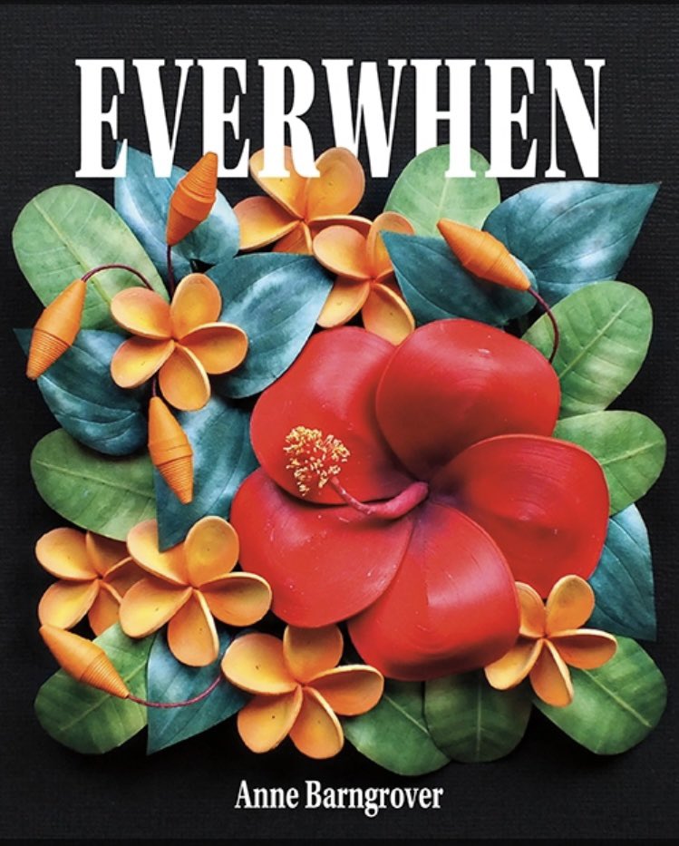 Anne_Barngrover's tweet photo. @AtticusReview Everwhen is forthcoming in March with @uakronpress :) https://t.co/vc17tf99Nz