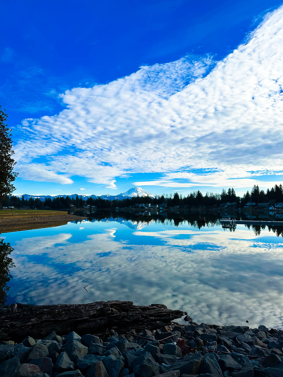 annaehamill's tweet photo. My first project using Adobe Photoshop and Lightroom Classic. #adobelightroom #MurrowUGLife #Com210 #photography https://t.co/m1rTiKHLNF