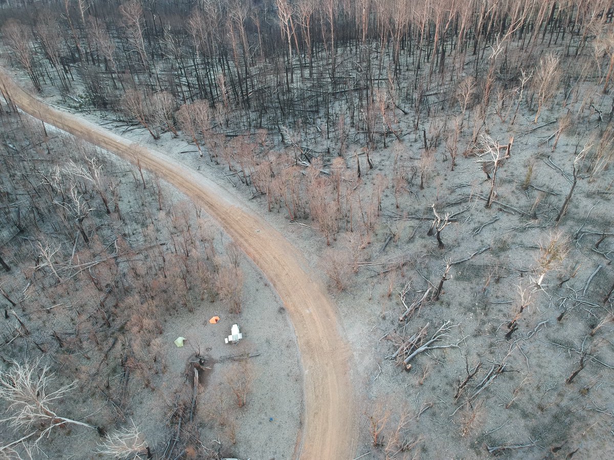 TreetecNetAu's tweet photo. Looking to build a new home, or do an extension? If you are located in a bushfire prone area, you might require a Bushfire Attack Level (BAL) assessment

We offers BAL assessments that can be  integrated into our #arboricultural or #ecologicalservices.

Contact us at 03 8644 8005 https://t.co/Nl8dzmmr7P