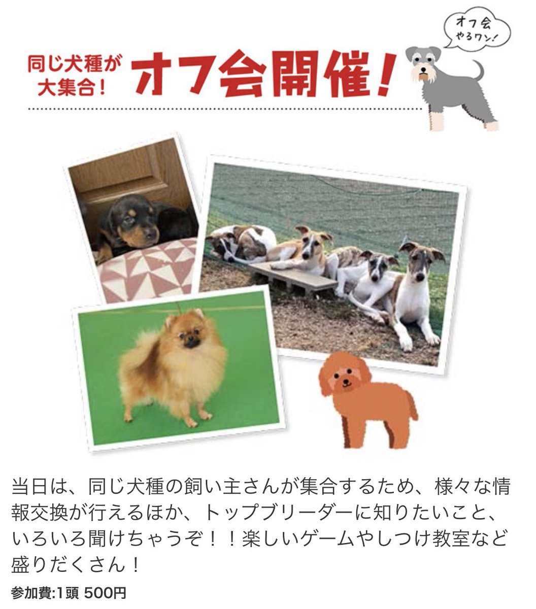 Gooday Hcgooday Twitter