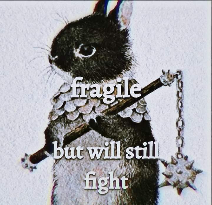 𖤐 (@allbertonedu) on Twitter photo 