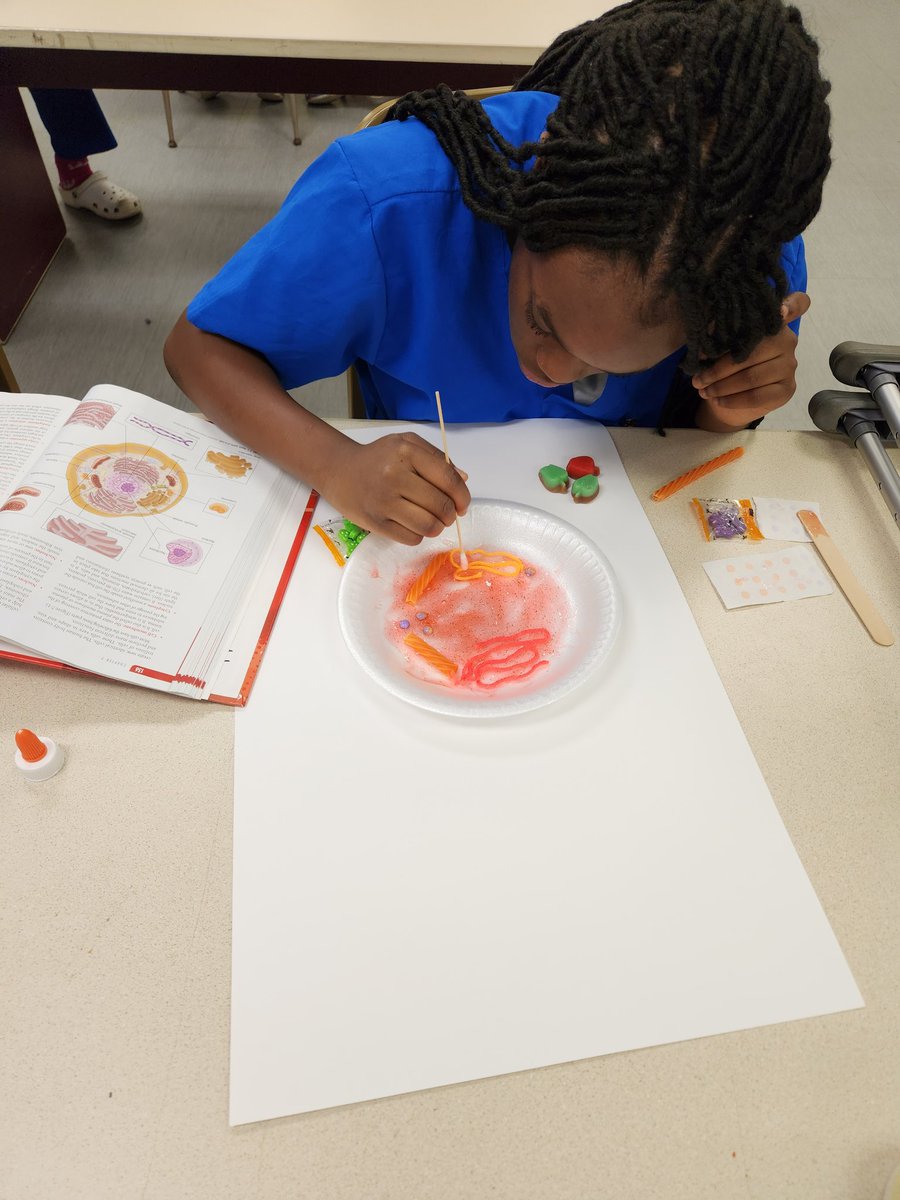 HealthMasd's tweet image. Health Science students created cells using glitter glue and candy!