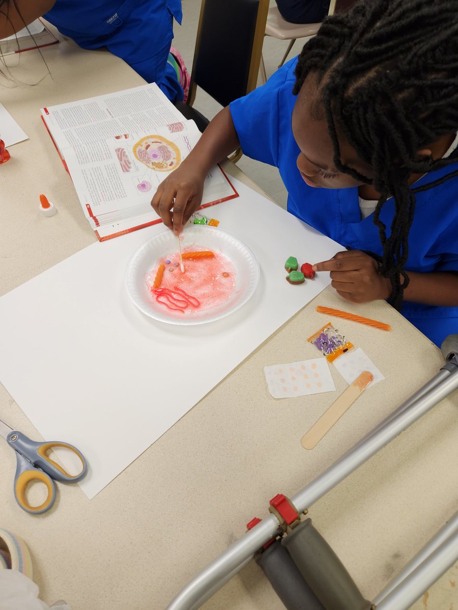 HealthMasd's tweet image. Health Science students created cells using glitter glue and candy!