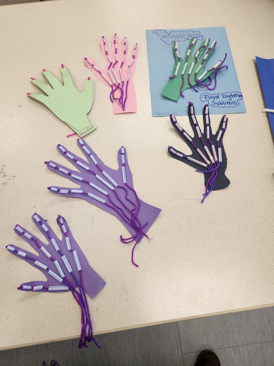 HealthMasd's tweet image. Musculoskeletal Activity