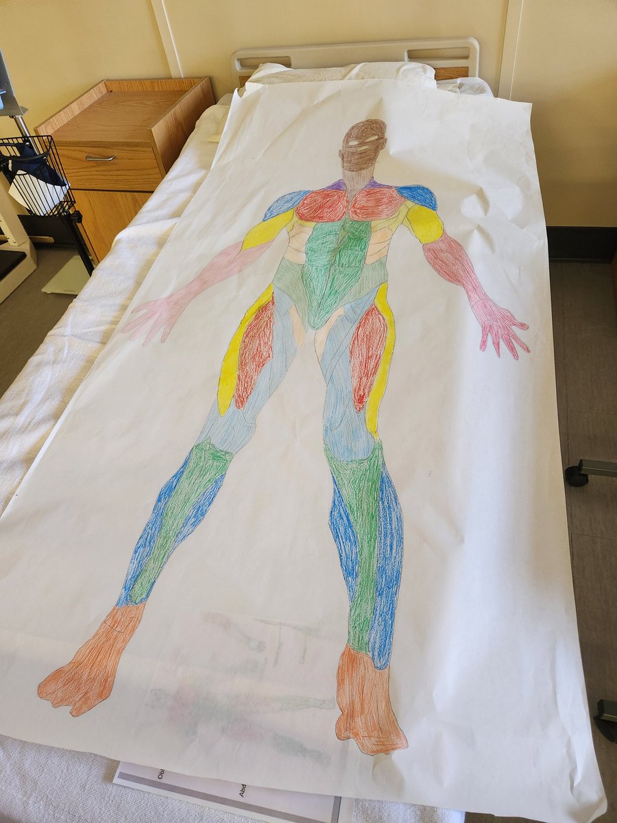 HealthMasd's tweet image. Health Science students created a resource for labeling practice.