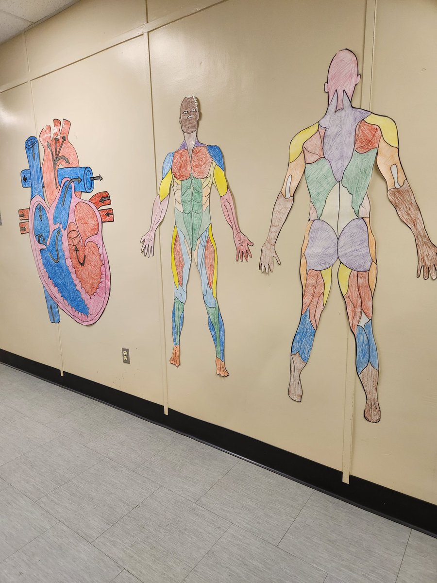 HealthMasd's tweet image. Health Science students created a resource for labeling practice.