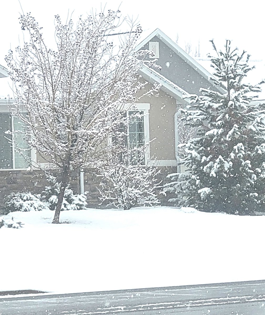 @Yaacov97531 #SnowPhotos #SpringvilleUtah Taken today.