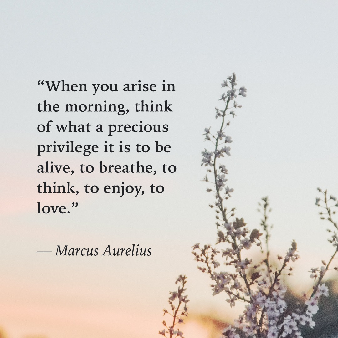 ‘When you start each day with a grateful attitude, light illuminates from within.’

#morning #goodmorning #morningvibes #morningmotivation #motivation