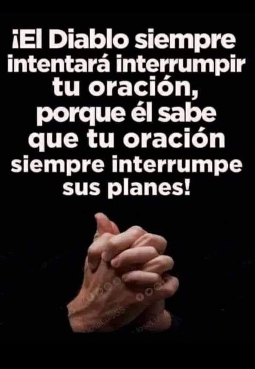 Pildorasdefe's tweet photo. https://t.co/LM1nGePcxF
