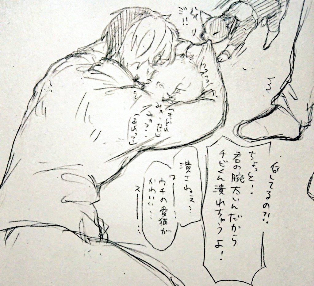 超落書き(概念)轟出(※捏造世界軸※無個l性🥦※🍰190㌢越※デキてる※🐈🍰🥦(?)もいる)
あまりにも何も無いので少し前に隠れ垢にぶん投げた落書きをこっちにも投げに来た。
🐈🥦に「けだま!」って言わせたかっただけ。 