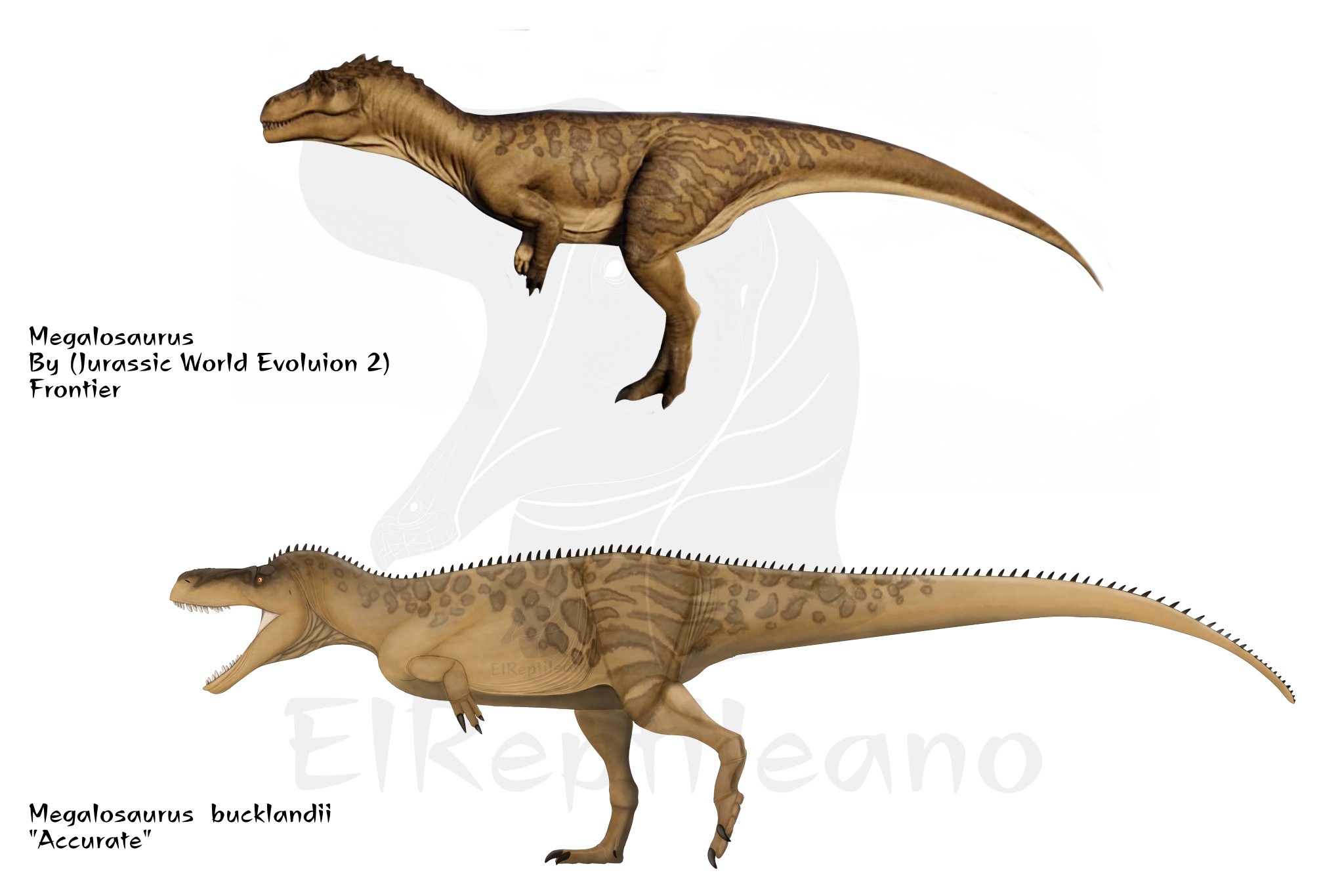 T Rex Vs Megalosaurus