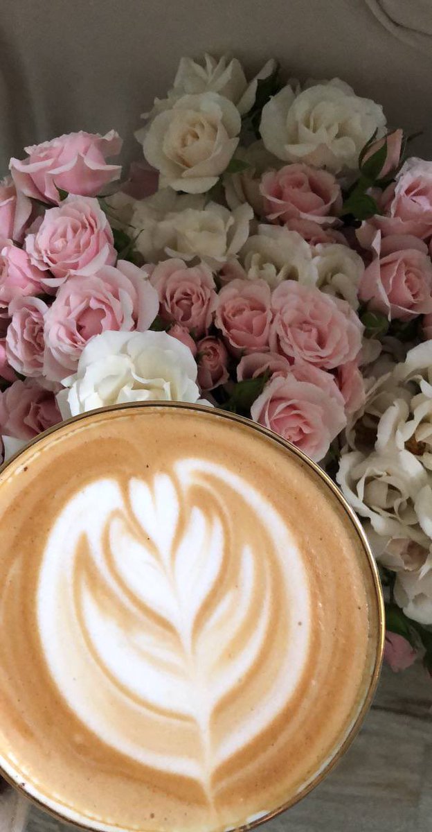 صباح الخير بكل حُب ..