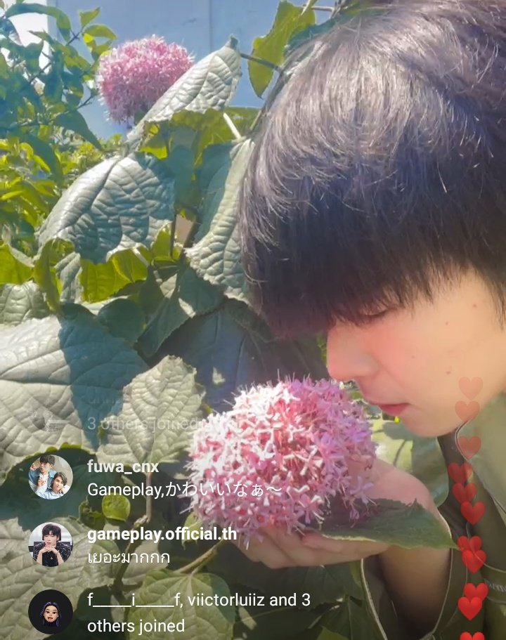 RebekaDP's tweet photo. What make me happy? Gameplay's lives in his mini jungle 🏡 so lovely 🌹
@GameplayRabbit , good luck in your meeting ☺️
#gameplayrabbit https://t.co/V49fmszasi
