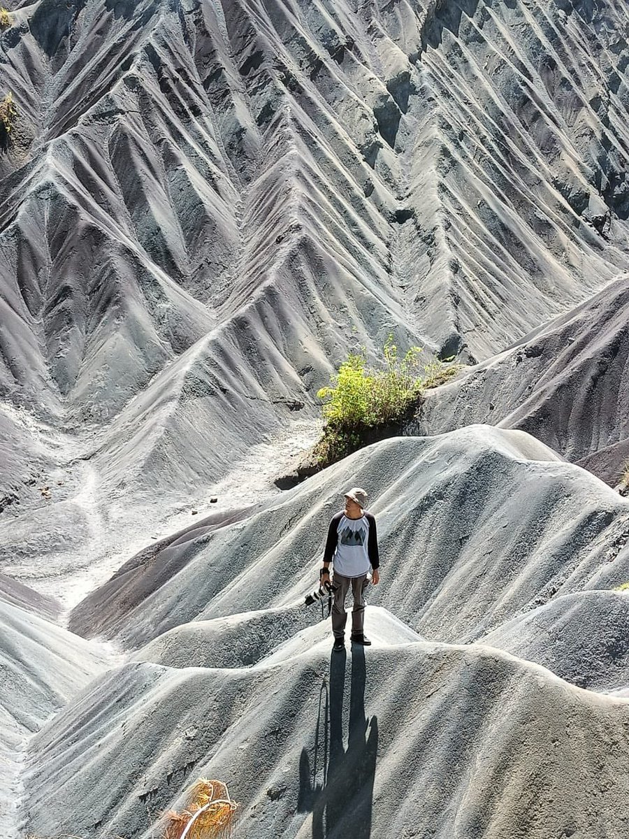 Aris Daeng tweet media