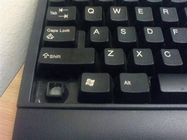 KiotaSchool's tweet photo. Today we meant to just give the keyboards a quick dusting... And then in one of them we lost control. At least there's always an ALTernative. Can't believe in this particular keyboard we have to use RIGHT CONTROL.
#Kiotalife #Kiotacommunity #Mondayhumor #safeinternetweek https://t.co/rCAWYHcQi0