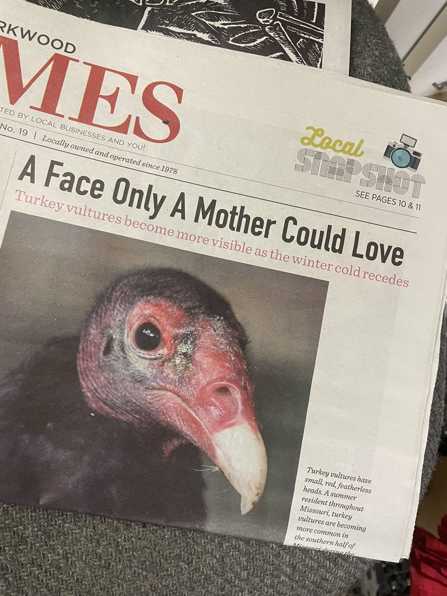 worldstaradele's tweet photo. why did the local newspaper have to put vultures on blast with this headline 😂 https://t.co/VjulWGq7p3