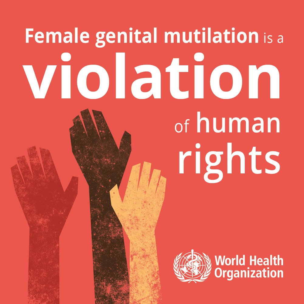 Yes end FGM!
Female Genital Mutilation is a cruel practice that is forced upon girls and women that leads to many health problems.
We should also end ALL genital mutilation of children in the US and be honest about the serious permanent health problems.
Let kids be kids. 