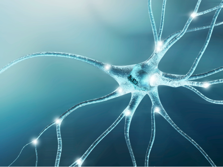 NeuroVizr tweet picture