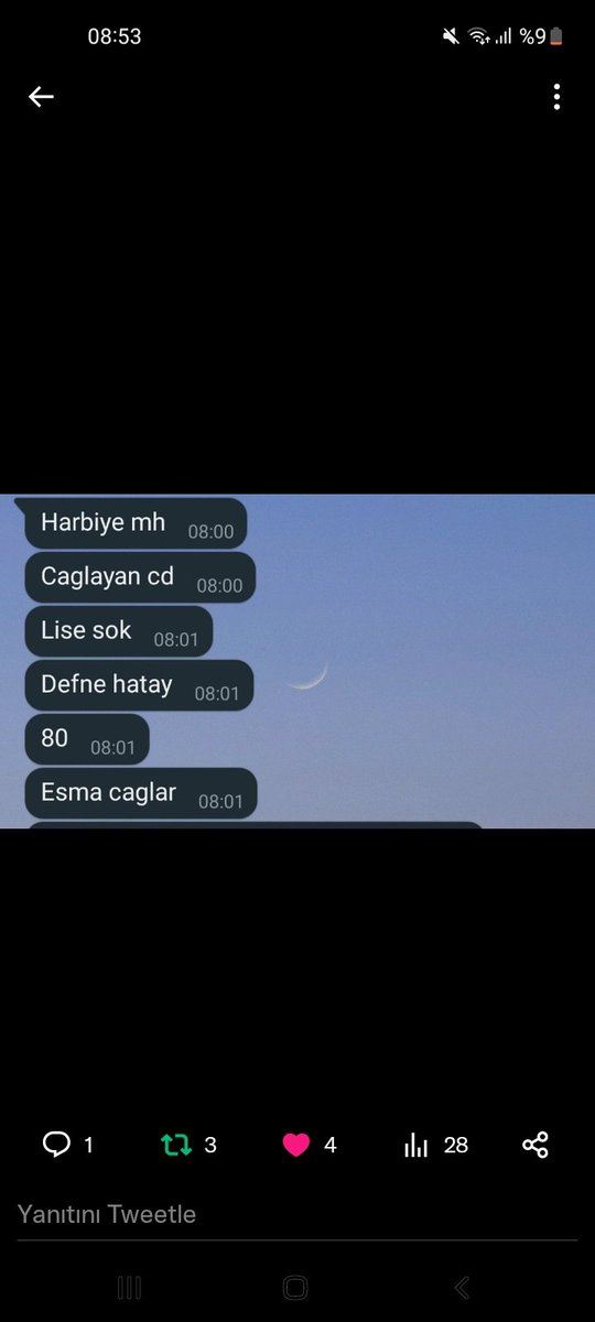 Songül Özen tweet media