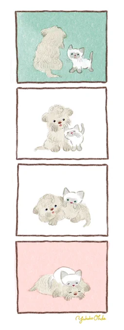 🐶🐱出会い
#illust #dog #cat 
