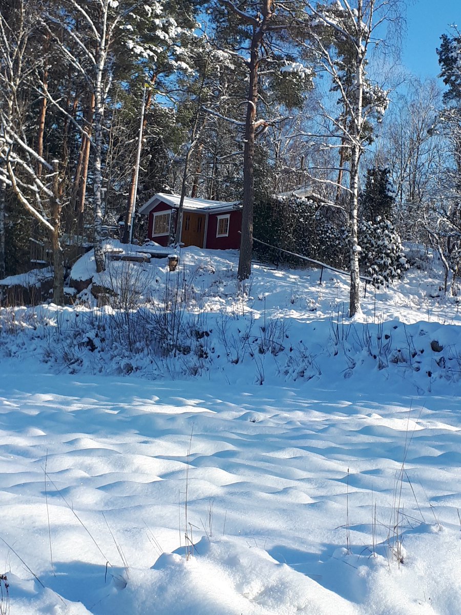 tonyrjonsson's tweet image. Good morning twitterini ☀️❄️☀️

A warm smile, some sunrays… can change the day 💕

Happy Monday 🤗

#feb6 🇺🇦🇺🇦🇺🇦