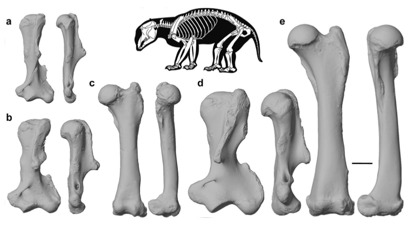 Dr Hazel L Richards tweet media