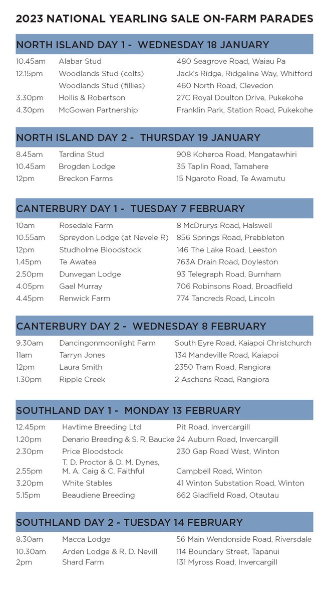 NZB Standardbred tweet media