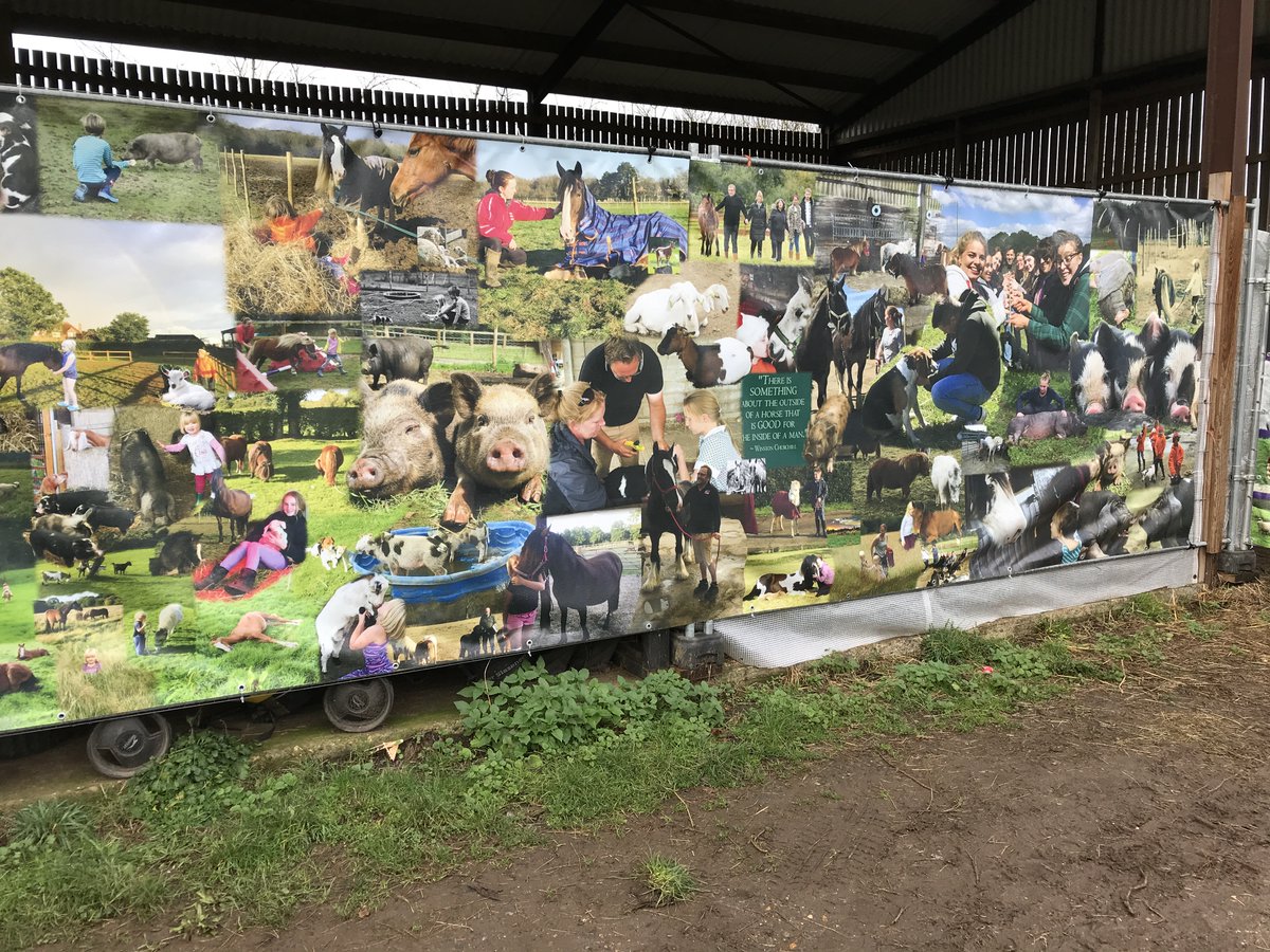 #SocialFarming #CareFarming enterprises in the #SouthEast work together...if you are planning to start, we can signpost you to the right willing colleague, whether you are a #familyfarm planning just 24 days a year or specialist aiming for 5 days/week full capacity.