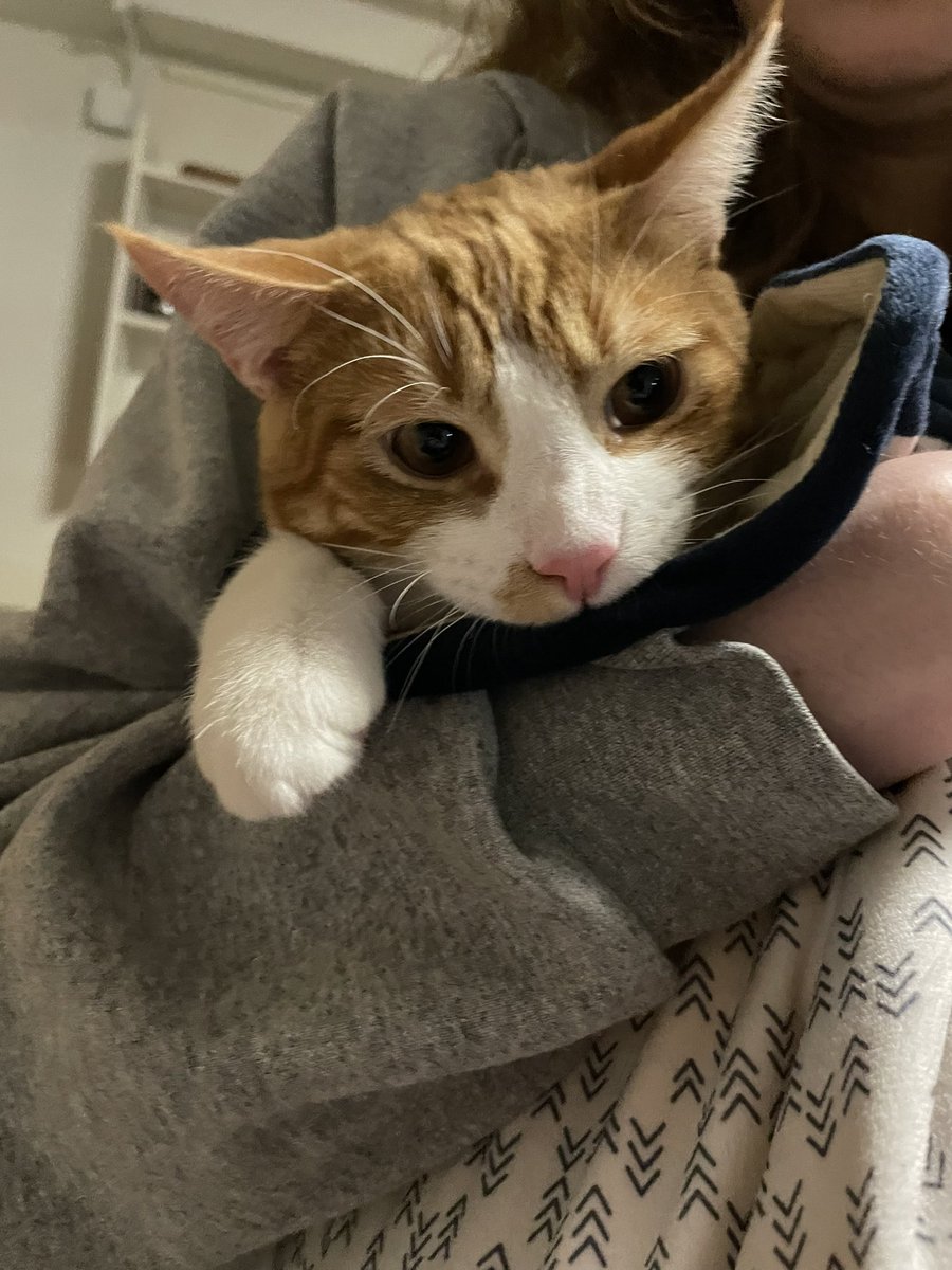 mayson208's tweet image. meet my valentine 💌