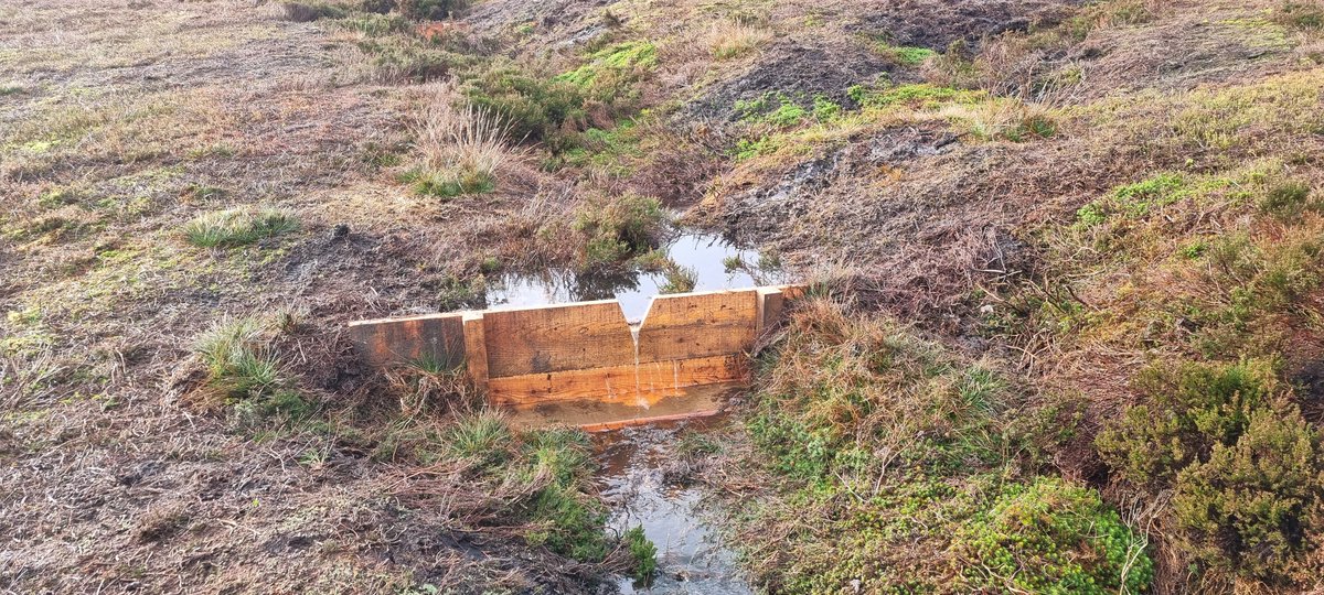 Conservefor Ltd tweet media