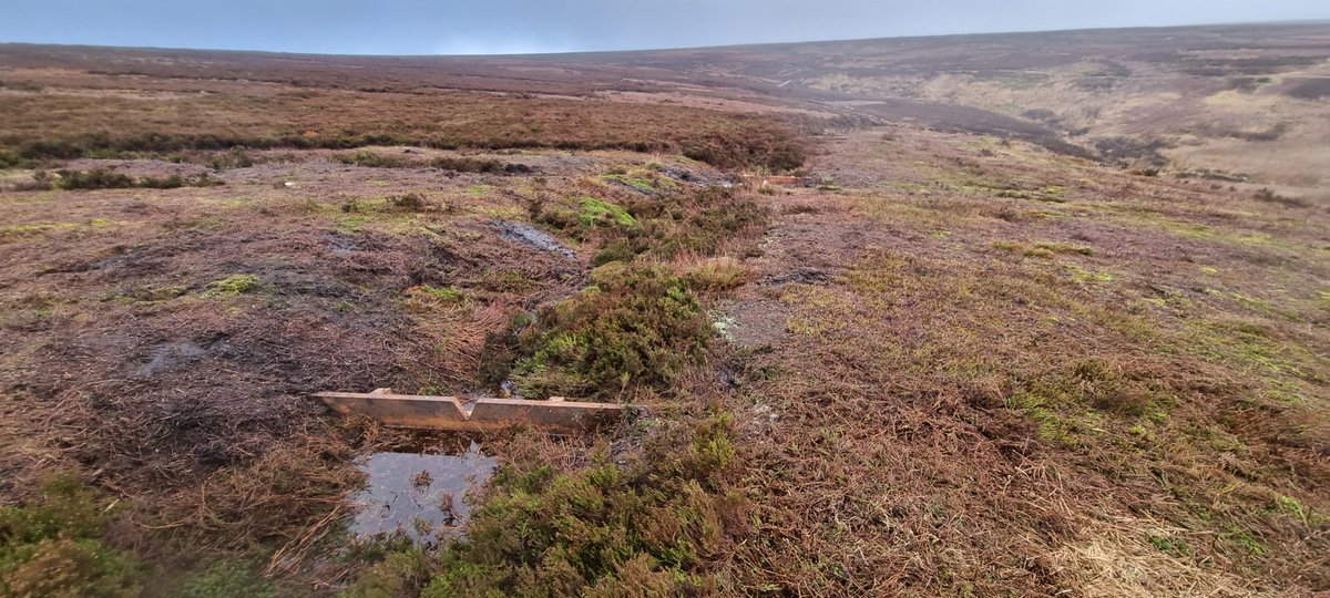 Conservefor Ltd tweet media