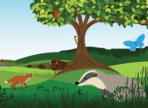 Bob Smith (@anotherbobsmith) on Twitter photo 🚨PhD alert🚨
Less than 2 weeks to apply for our PhD on “UK wilding for nature recovery: investigating the role of large herbivores". This is a <a href="/DICE_Kent/">DICE Kent</a> & <a href="/KentWildlife/">Kent Wildlife Trust</a> project.
Submit by 17th Feb. Details here: findaphd.com/phds/project/u…
Picture ©️ <a href="/KentWildlife/">Kent Wildlife Trust</a> 🚨PhD alert🚨
Less than 2 weeks to apply for our PhD on “UK wilding for nature recovery: investigating the role of large herbivores". This is a <a href="/DICE_Kent/">DICE Kent</a> & <a href="/KentWildlife/">Kent Wildlife Trust</a> project.
Submit by 17th Feb. Details here: findaphd.com/phds/project/u…
Picture ©️ <a href="/KentWildlife/">Kent Wildlife Trust</a>