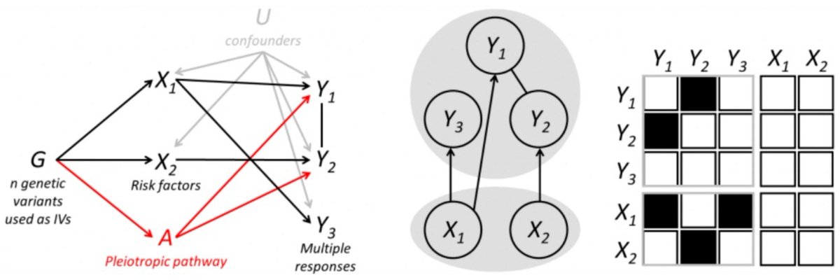 We introduce a novel Multi-Response Mendelian randomization (MR2) model for the analysis of multiple related outcomes: → To account for information shared between outcomes and → To define shared or distinct causes of disease. Preprint on biorxiv.org/content/10.110… and 🧵below 1/