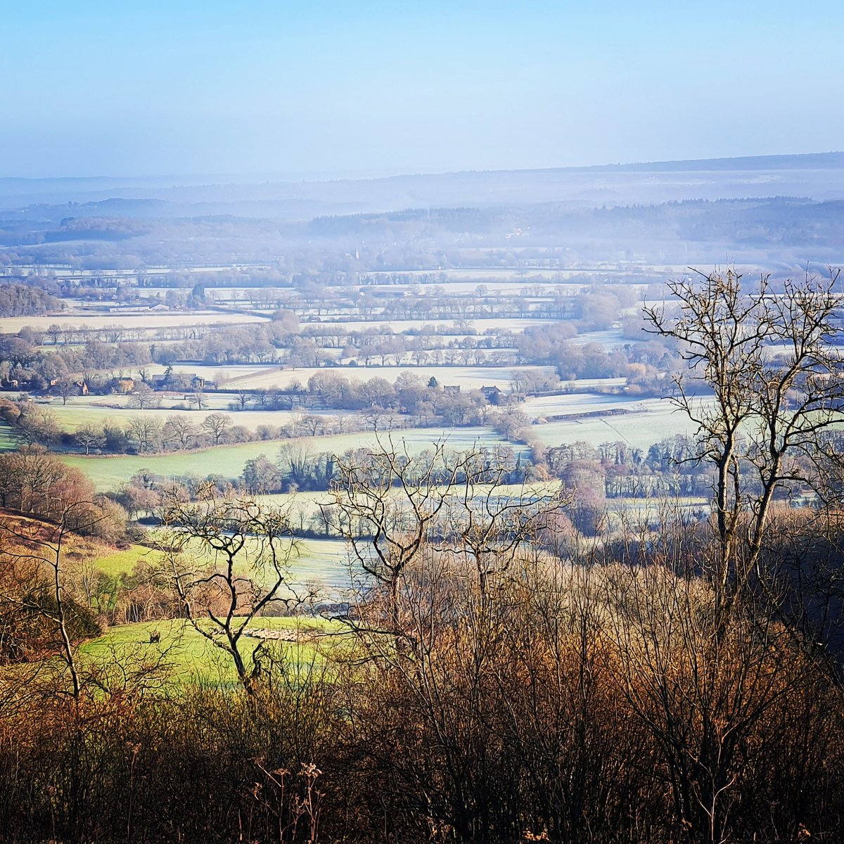 View from #AshfordHangers near Petersfield #EastHants this morning. A very pretty corner of #ruralEngland.