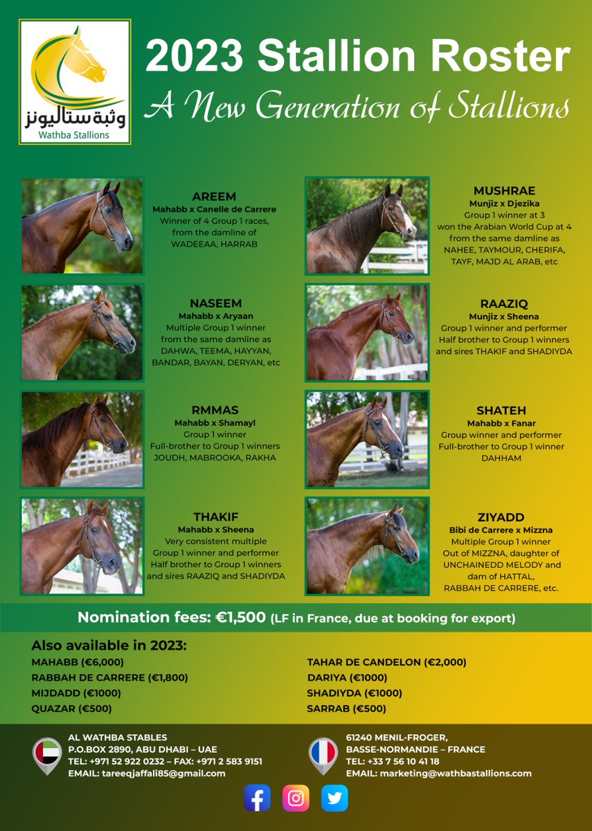 WathbaStallions's tweet photo. Promising young sires announced in the 2023 Wathba Stallions roster

#WathbaStallions #ArabianRacing #ArabianStallions #ArabianBreeding 
@afac_contact @JDGArabians @ARO_Racing @ArabianRH @JRoualle https://t.co/lztyz4PJuR