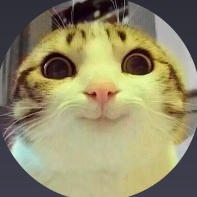 say hello to our world, what? #NewProfilePic