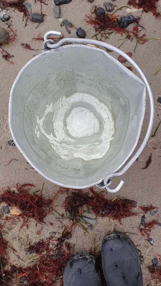 S03M0623 11:25 3,5°C SAL 11,9