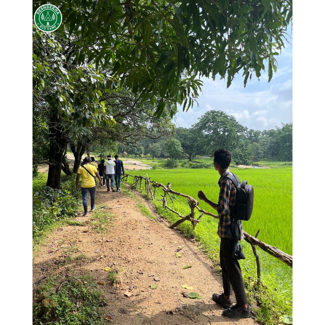 campdeshdekha's tweet photo. Sometimes, you just need to get away from it all and go for a walk in the woods.
@deshdekhaecocamp can be your place.
.
.
#deshdekhaecocamp #jashpur #chattisgarhtourism #deshdekha #ambikapur https://t.co/qBIdEUrqyU