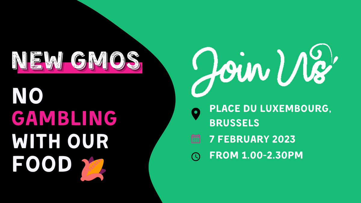 Ready to let agribusiness gamble with your food? 🎡No? Neither are we:
✊ If you are in Belgium, join the protest against @EU_Commission's plans to deregulate #newGMOs
🗓️Tomorrow 1.00-2.00 pm @ Place du Luxembourg in #Brussels
📢We want to keep our freedom to say: #IChooseGMOFree  