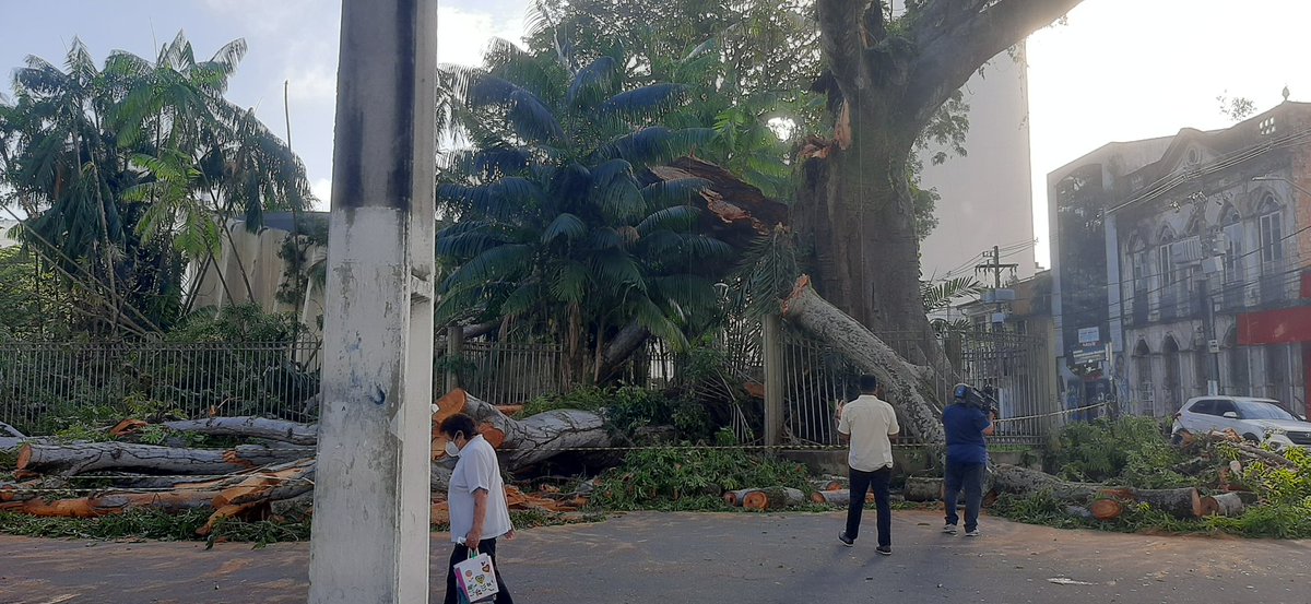 Até o momento galhos da samaumeira na via e segue interditado a partir da Travessa Nazaré, rua do lado ao Habib's liberada para passagem de veículo.