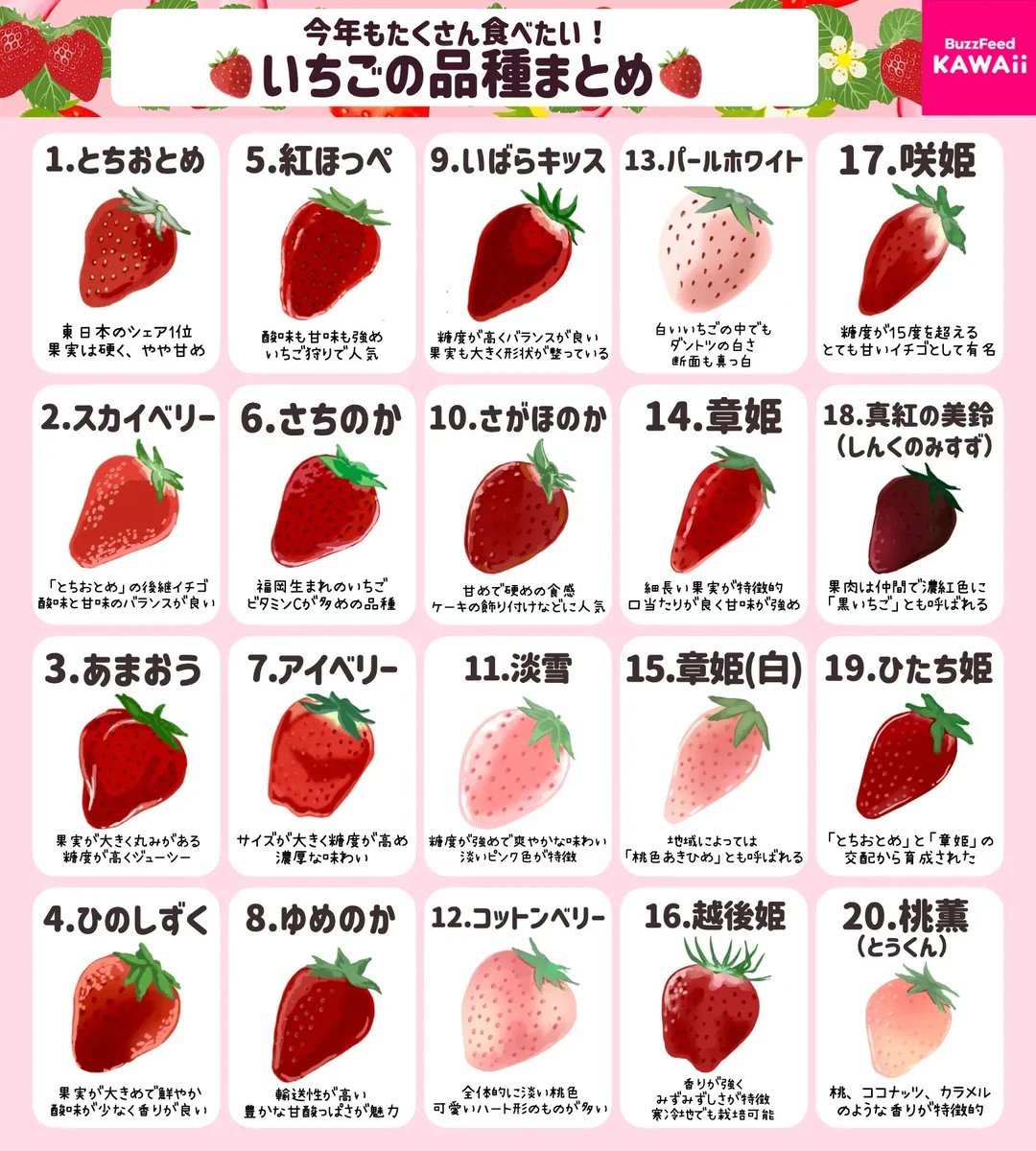 イラスト付きでとっても分かりやすい！いちご好きさん必見、いろいろな「いちごの品種」のまとめ！