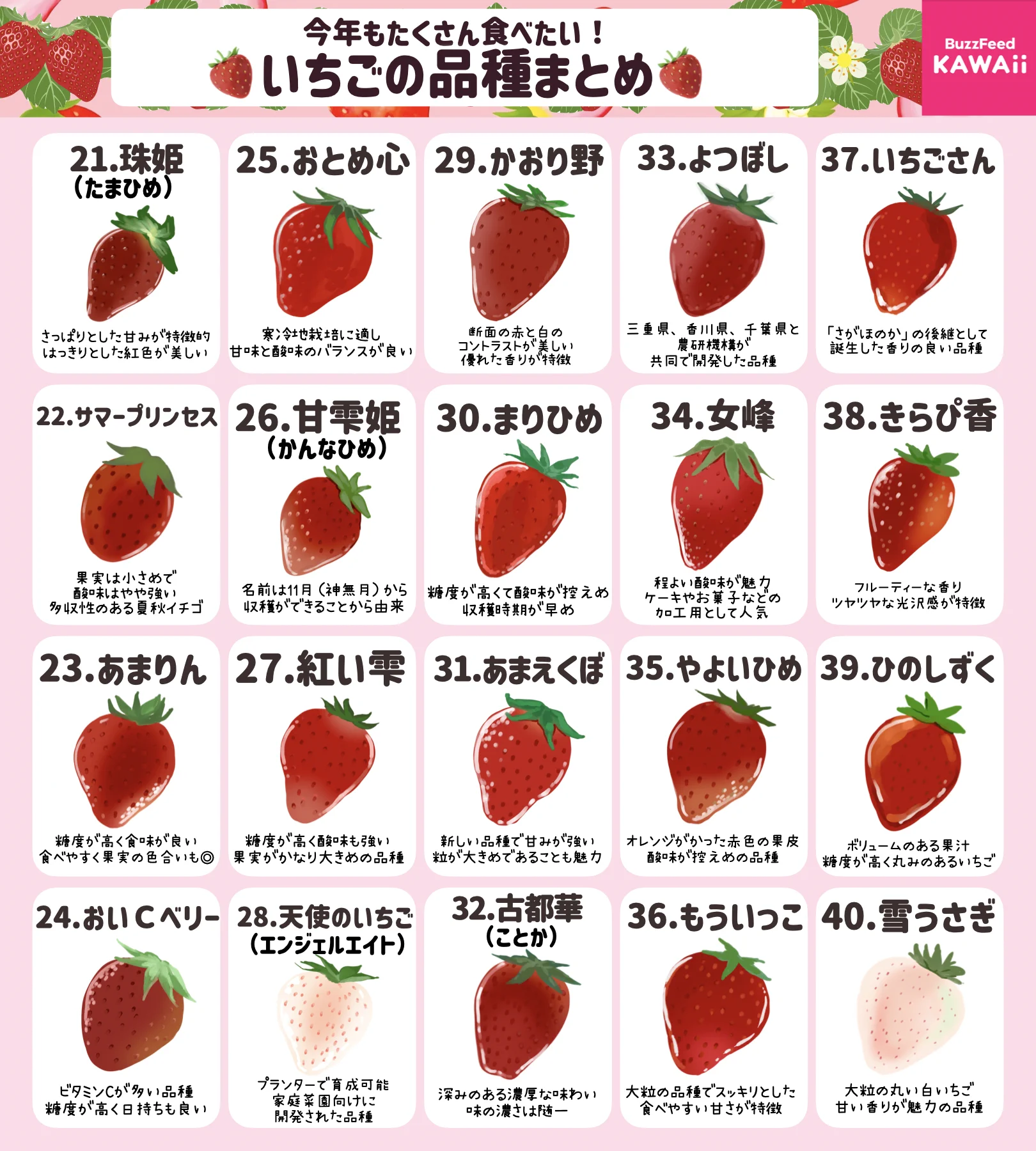 イラスト付きでとっても分かりやすい！いちご好きさん必見、いろいろな「いちごの品種」のまとめ！